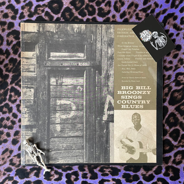 Big Bill Broonzy – Big Bill Broonzy Sings Country Blues