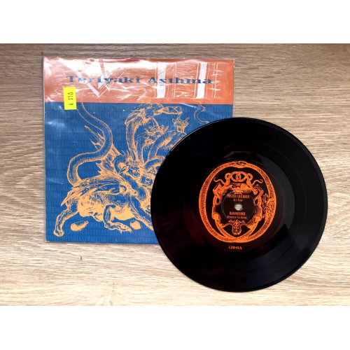 Various – Teriyaki Asthma VII - Rock VG+