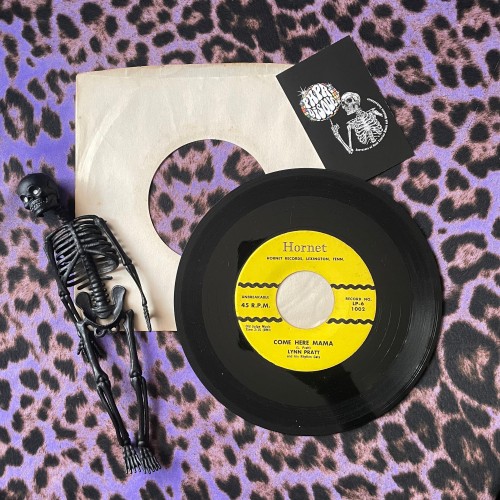 Lynn Pratt And His Rhythm Cats – They're Learning