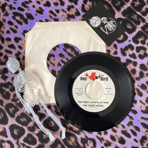 The Trade Winds – Summertime Girl / The Party Starts At Nine