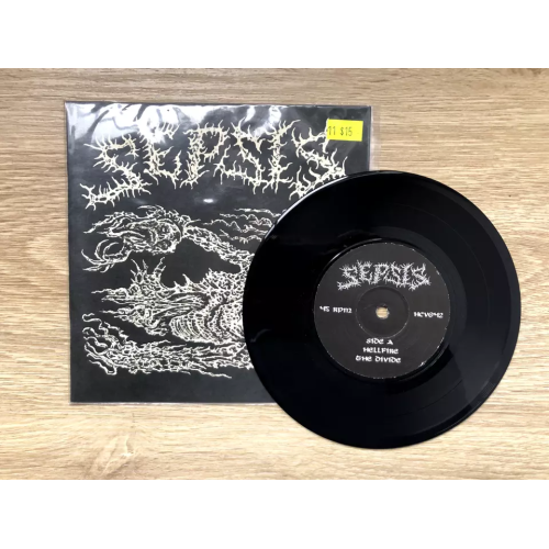 Sepsis – The Divide - Rock VG+