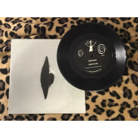 Spacious - Vector 27 , Riding The Whale / I Believe In You - Punk Rock Indie VG+