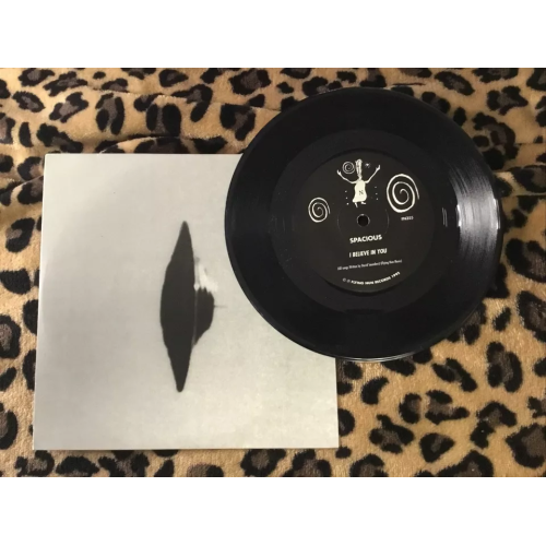 Spacious - Vector 27 , Riding The Whale / I Believe In You - Punk Rock Indie VG+